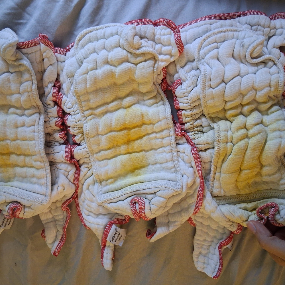 Clotheez Work Horse Diapers Size Medium (3)